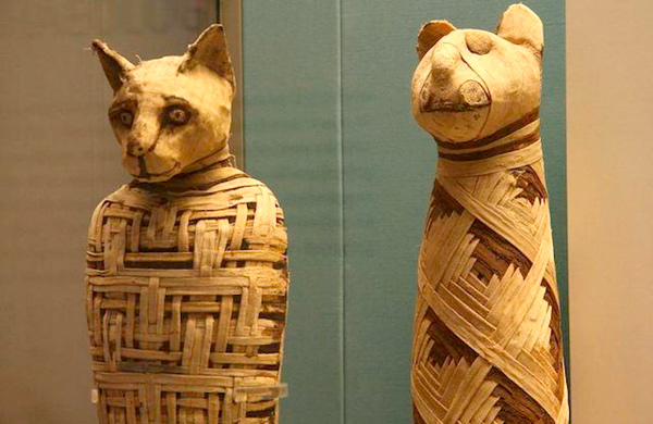 египтяне мумифицировали не только людей, но и животных
